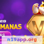 n19 - Suporte 24/7: Sempre ao Seu Lado Article Image 1